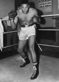 Nino Valdes boxer