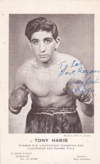 Tony Habib boxer