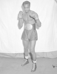 Dave Marsh boxer