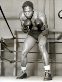 Turkey Thompson boxer