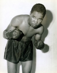 Major Jones boxer