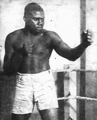 Seal Harris boxer