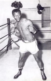 Collier Cox boxer