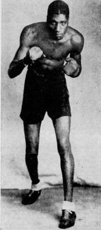 Tiger Brown boxer