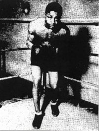 Harry English boxer