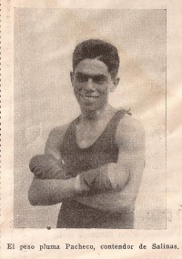 K .O. Pacheco boxer