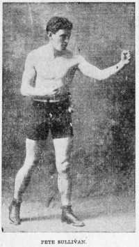 Pete Sullivan boxer