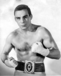 Willi Quatuor boxer