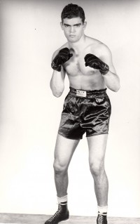 Sanders Cox boxer
