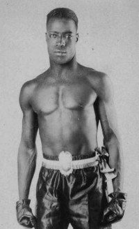 Harry Smith boxer