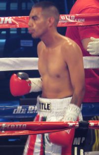 Elio David Ruiz boxeador