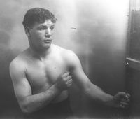 Harry Mansfield boxer