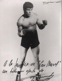 Francisco Bermudez boxer