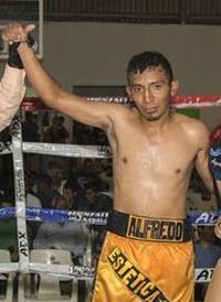 Jose Alfredo Flores Chanez boxeador