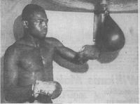 Dalfus Brown boxer