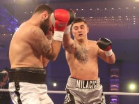 Danilo Milacic boxer