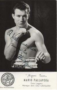 Mario Pallavera boxer