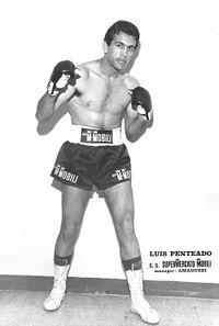 Jose Luiz Penteado boxer